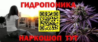дживик Кингисепп