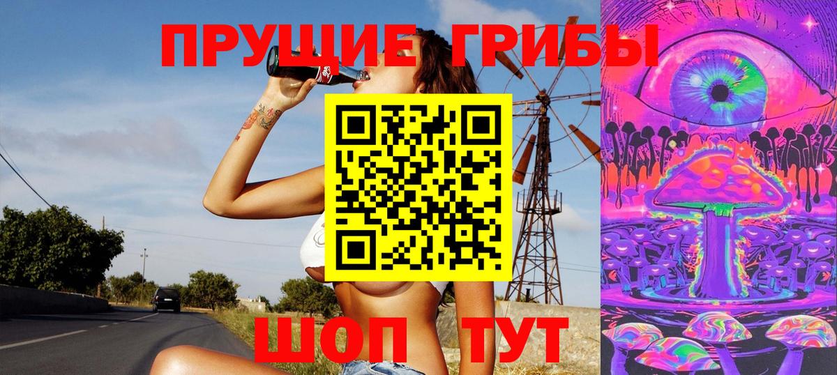Псилоцибиновые грибы GOLDEN TEACHER Дзержинск
